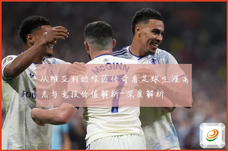 从维亚利的绿茵传奇看足球生涯高光与竞技价值解析-深度解析