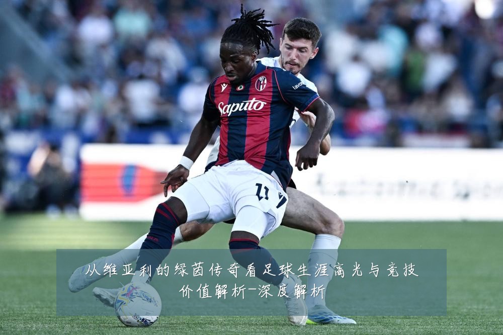 从维亚利的绿茵传奇看足球生涯高光与竞技价值解析-深度解析
