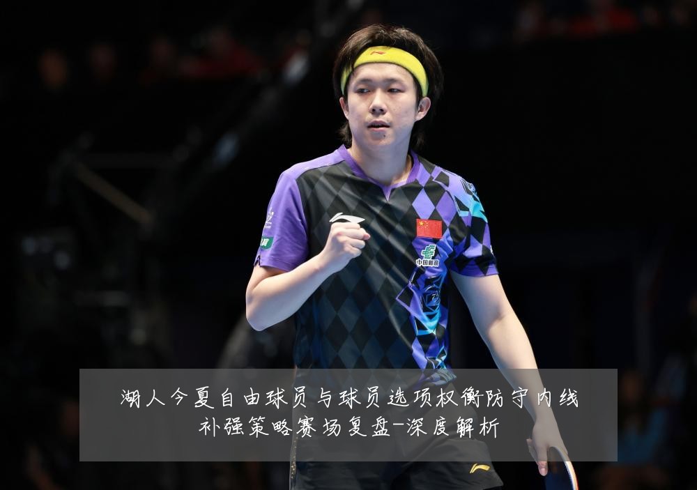 湖人今夏自由球员与球员选项权衡防守内线补强策略赛场复盘-深度解析