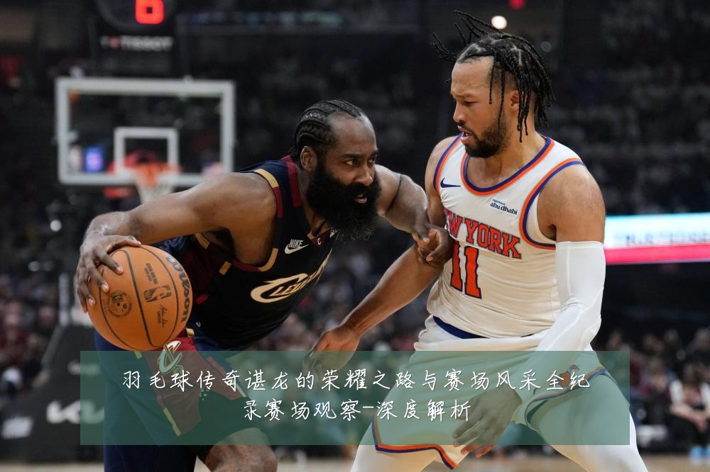 羽毛球传奇谌龙的荣耀之路与赛场风采全纪录赛场观察-深度解析